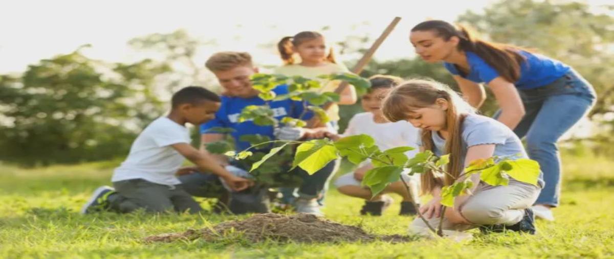 Foto de terreno habitacional en venta en paseo del canal y parque elena 40, cancún centro, benito juárez, quintana roo, 0 No. 05