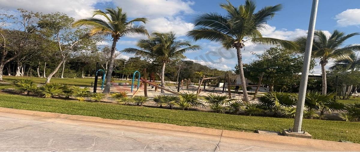 Foto de terreno habitacional en paseo del colibri 12, puerto morelos, puerto morelos, quintana roo, 0 foto 05 Foto de terreno habitacional en venta en paseo del colibri 12, puerto morelos, puerto morelos, quintana roo, 0 No. 05