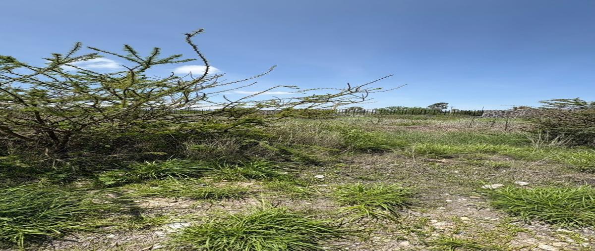 Foto de terreno habitacional en paseo del cultivo , la espiga, querétaro, querétaro, 30036218 foto 05 Foto de terreno habitacional en venta en paseo del cultivo , la espiga, querétaro, querétaro, 30036218 No. 05