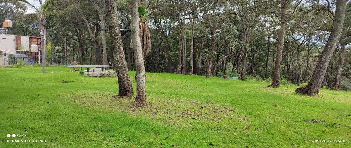 Foto de terreno habitacional en venta en paseo del ejido , espíritu santo, jilotzingo, méxico, 0 No. 03