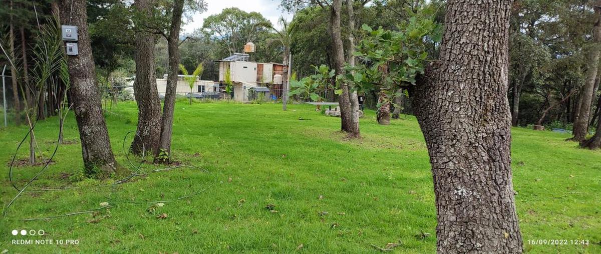 Foto de terreno habitacional en venta en paseo del ejido , espíritu santo, jilotzingo, méxico, 0 No. 04