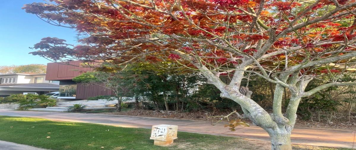 Foto de terreno habitacional en venta en paseo del jaguar , yucatán country club, mérida, yucatán, 28120173 No. 03