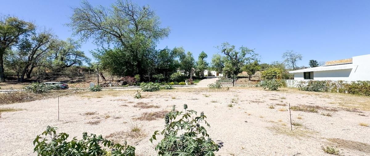 Foto de terreno habitacional en venta en paseo del marquez , cuevas (huachimole de cuevas), guanajuato, guanajuato, 30454154 No. 05