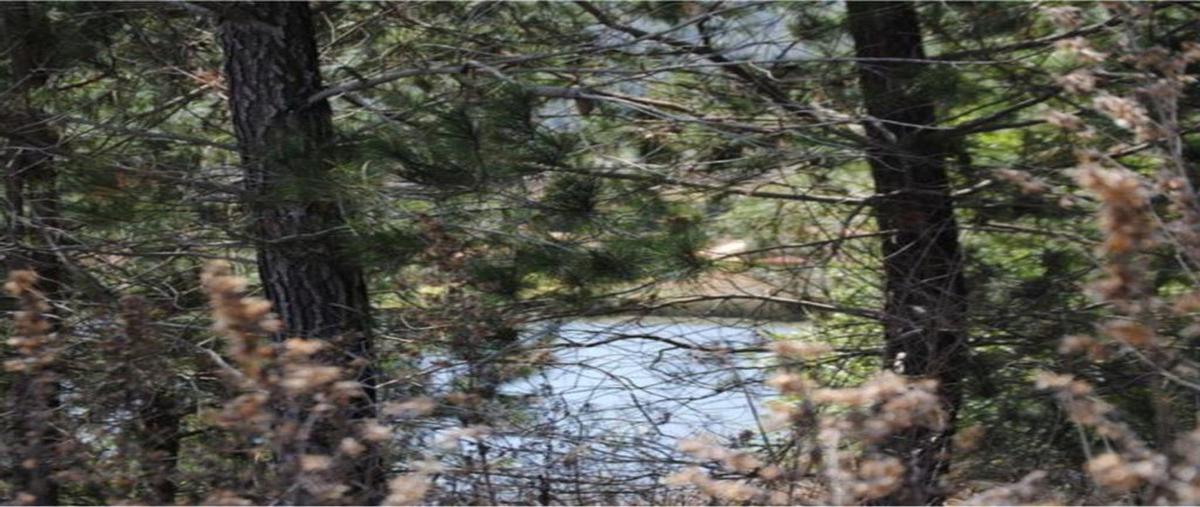 Foto de terreno habitacional en venta en paseo del mirador , san antonio, tapalpa, jalisco, 0 No. 03