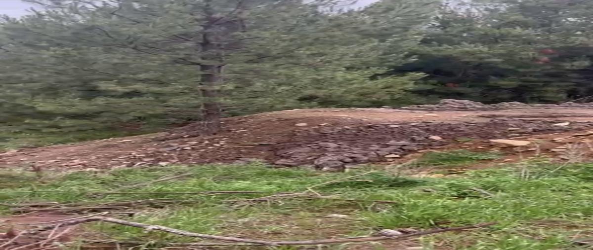 Foto de terreno habitacional en paseo del mirador , tapalpa, tapalpa, jalisco, 0 foto 02 Foto de terreno habitacional en venta en paseo del mirador , tapalpa, tapalpa, jalisco, 0 No. 02