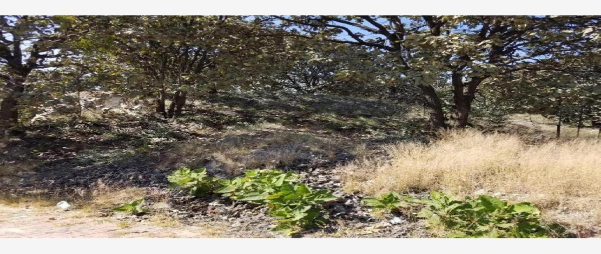 Foto de terreno habitacional en venta en paseo del palomar 150, el palomar, tlajomulco de zúñiga, jalisco, 0 No. 03