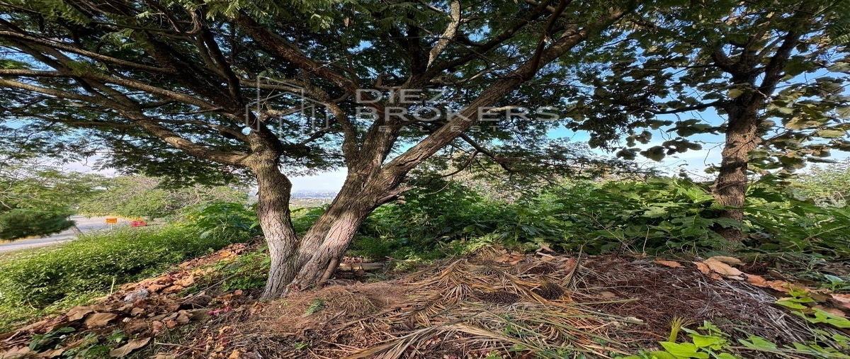 Foto de terreno habitacional en paseo del palomar , el palomar, tlajomulco de zúñiga, jalisco, 27121223 foto 05 Foto de terreno habitacional en venta en paseo del palomar , el palomar, tlajomulco de zúñiga, jalisco, 27121223 No. 05