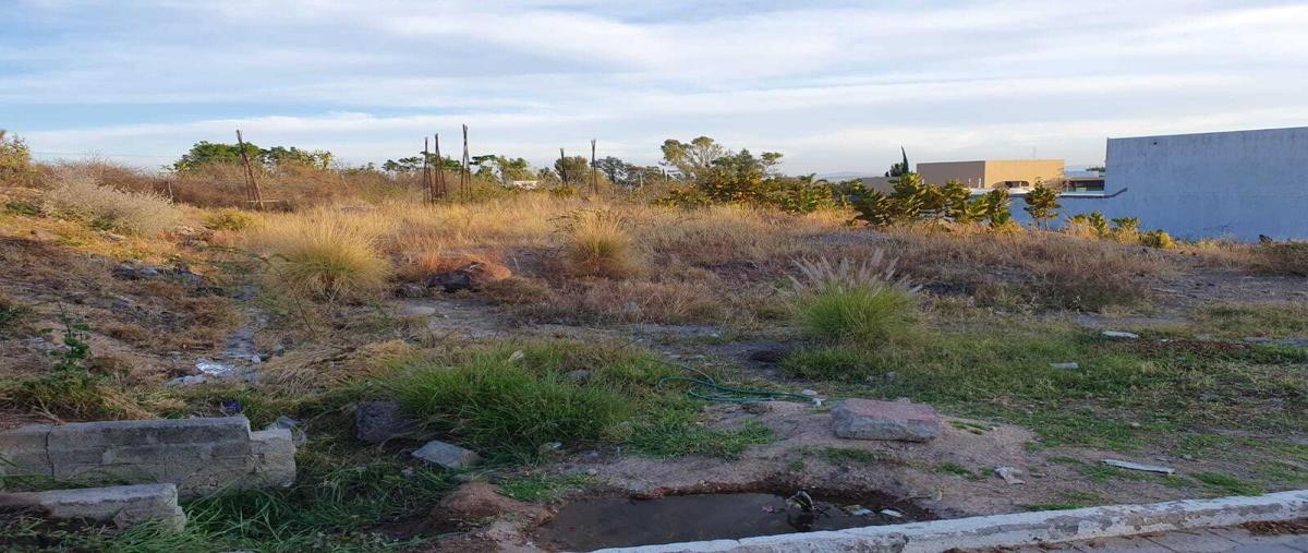 Foto de terreno habitacional en venta en paseo del panorama 0, villas de irapuato, irapuato, guanajuato, 26587950 No. 05