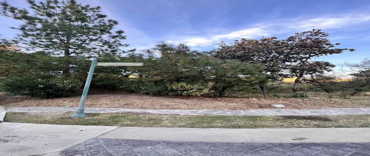Foto de terreno habitacional en venta en paseo del parque , cielo contry club, tlajomulco de zúñiga, jalisco, 29387448 No. 04