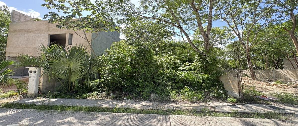 Foto de terreno habitacional en venta en paseo del parque , ejidal, solidaridad, quintana roo, 30212359 No. 01