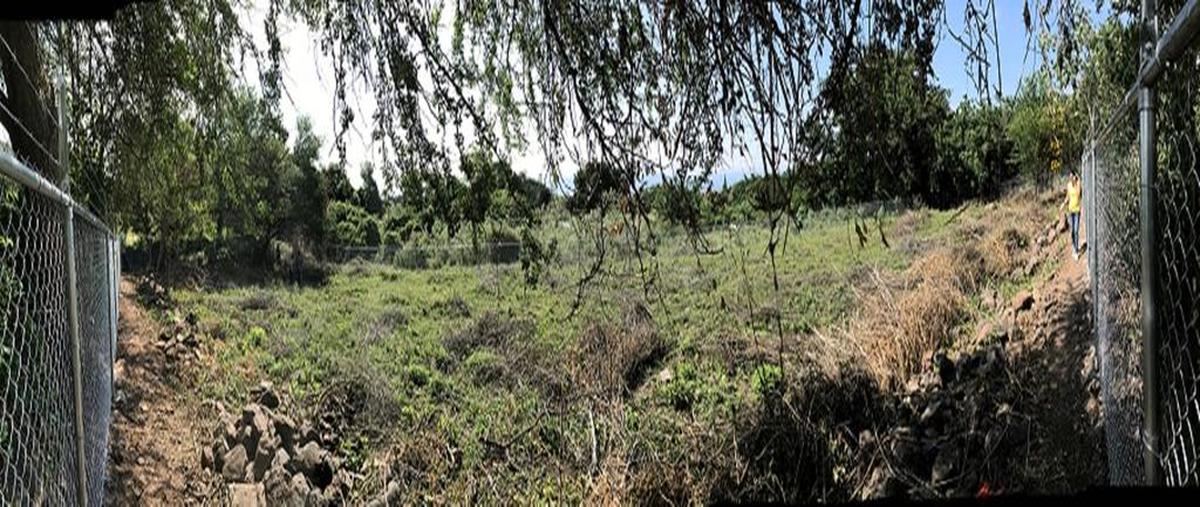 Foto de terreno habitacional en venta en paseo del prado 10, ajijic centro, chapala, jalisco, 0 No. 05