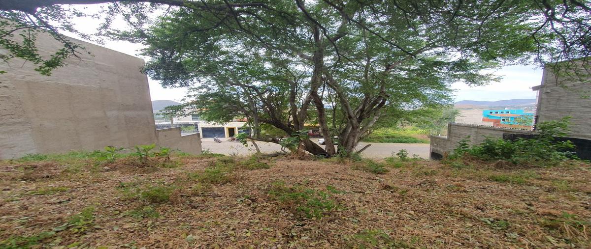 Foto de terreno habitacional en venta en paseo del sol 18, cortijo de san agustin, tlajomulco de zúñiga, jalisco, 28049661 No. 05