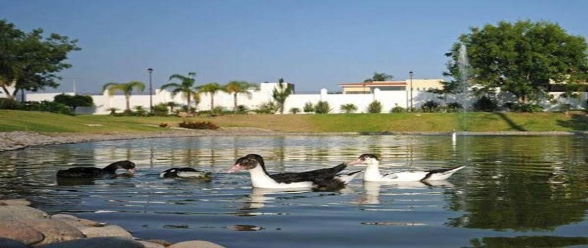 Foto de casa en paseo el alcázar 500, el alcázar (casa fuerte), tlajomulco de zúñiga, jalisco, 0 foto 02 Foto de casa en venta en paseo el alcázar 500, el alcázar (casa fuerte), tlajomulco de zúñiga, jalisco, 0 No. 02