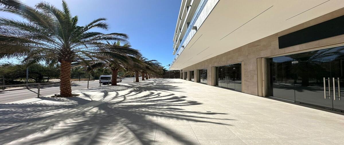 Foto de local en renta en paseo gaviotas , el medano, los cabos, baja california sur, 30113911 No. 04
