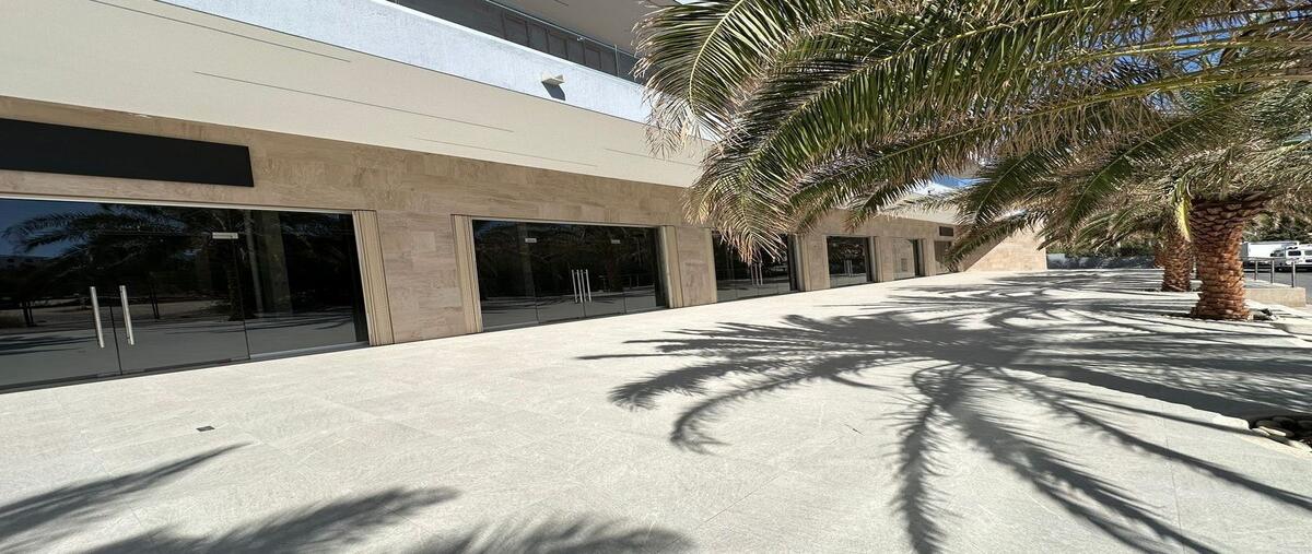 Foto de local en renta en paseo gaviotas , el medano, los cabos, baja california sur, 30113911 No. 05