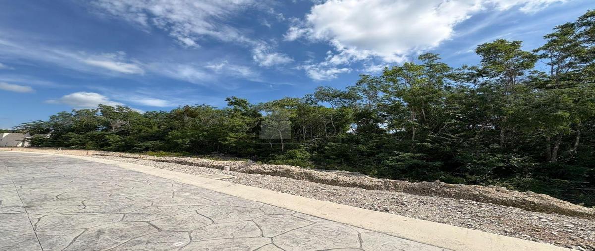 Foto de terreno habitacional en venta en paseo granadillo 6, supermanzana 550, benito juárez, quintana roo, 30595427 No. 03