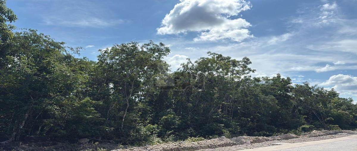 Foto de terreno habitacional en venta en paseo granadillo manzana 13 5, supermanzana 550, benito juárez, quintana roo, 30595428 No. 03
