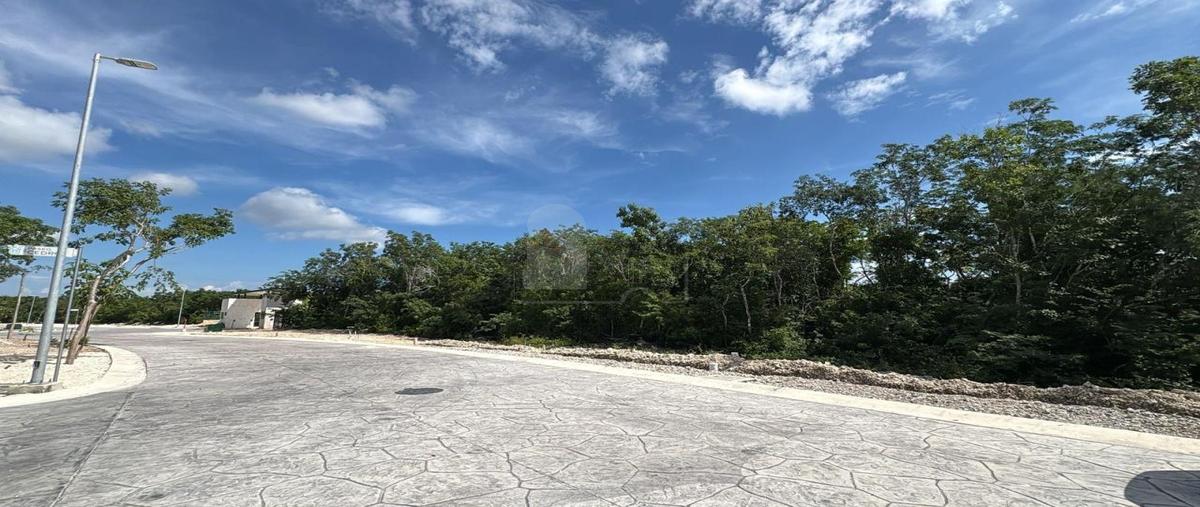 Foto de terreno habitacional en venta en paseo granadillo manzana 13 5, supermanzana 550, benito juárez, quintana roo, 30595428 No. 04