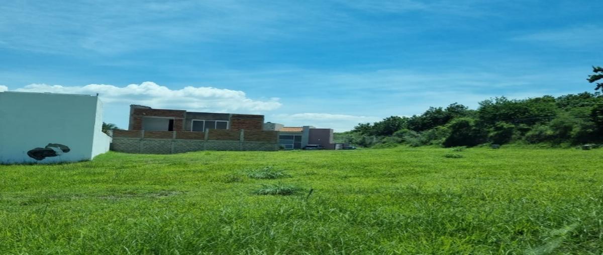 Foto de terreno habitacional en venta en paseo la alameda , colinas de santa anita, tlajomulco de zúñiga, jalisco, 29876405 No. 03