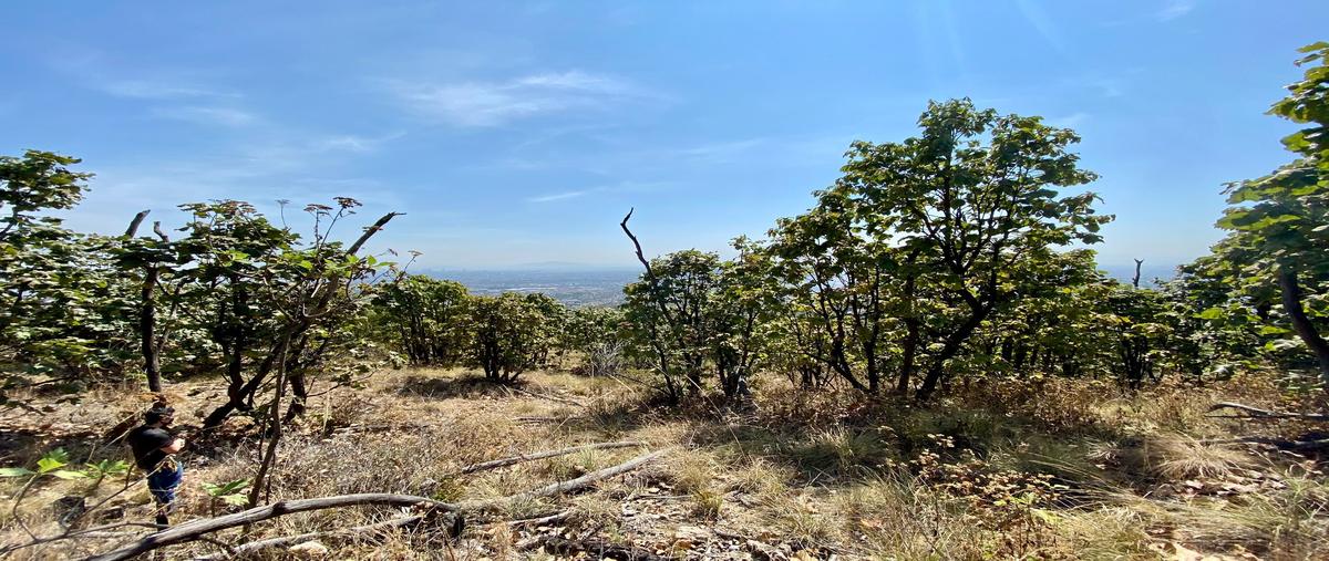 Foto de terreno habitacional en venta en paseo las cumbres , el palomar, tlajomulco de zúñiga, jalisco, 29333175 No. 03