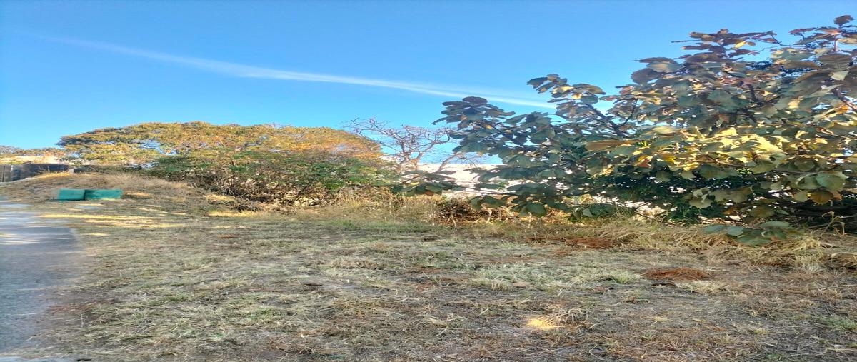 Foto de terreno habitacional en venta en paseo las cumbres , el palomar, tlajomulco de zúñiga, jalisco, 29333175 No. 05