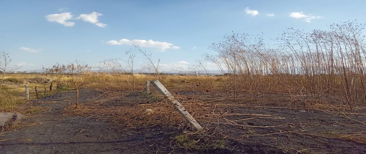 Foto de terreno habitacional en venta en paseo laureles , sendero real, tlajomulco de zúñiga, jalisco, 0 No. 01