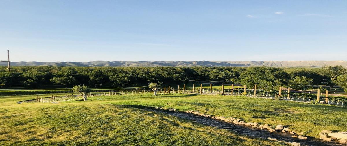 Foto de terreno habitacional en venta en paseo parvada , parras, parras, coahuila de zaragoza, 17307563 No. 05