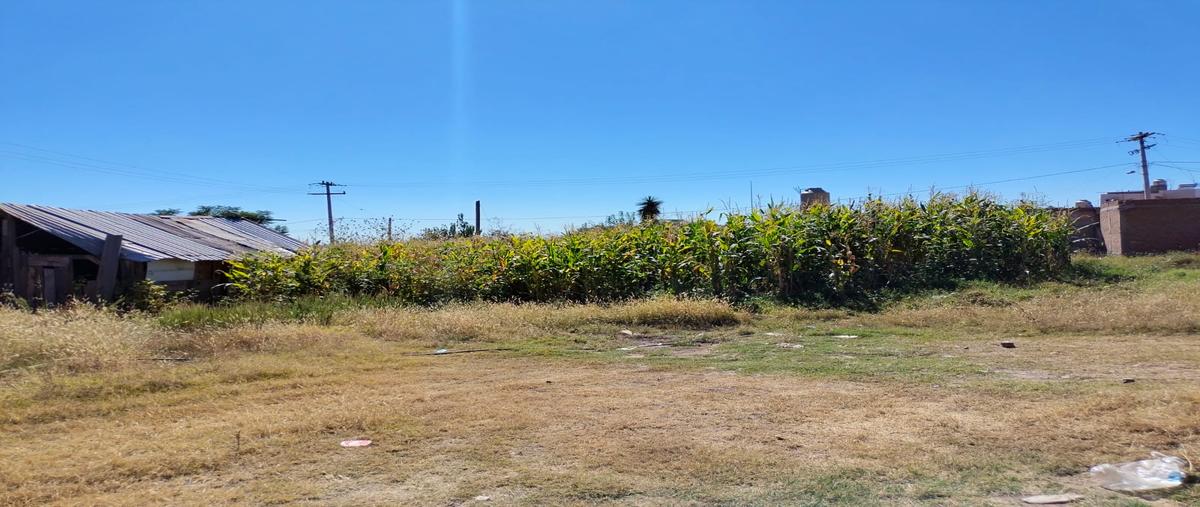 Foto de terreno habitacional en paseo pueblo nuevo paseo de la pradera , las palmas, durango, durango, 29160783 foto 05 Foto de terreno habitacional en venta en paseo pueblo nuevo paseo de la pradera , las palmas, durango, durango, 29160783 No. 05