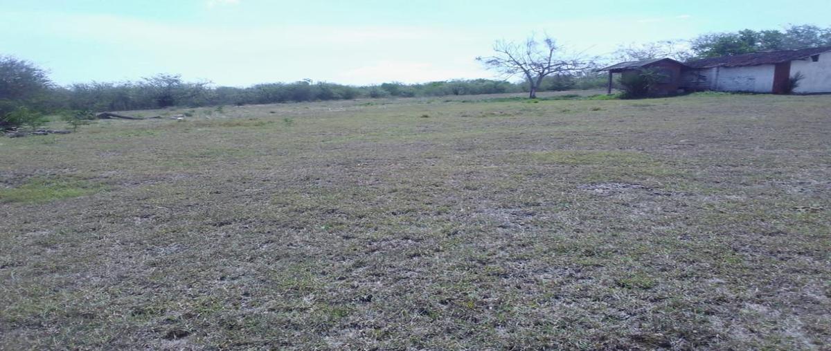 Foto de terreno habitacional en venta en  , paseo real, altamira, tamaulipas, 29824482 No. 03