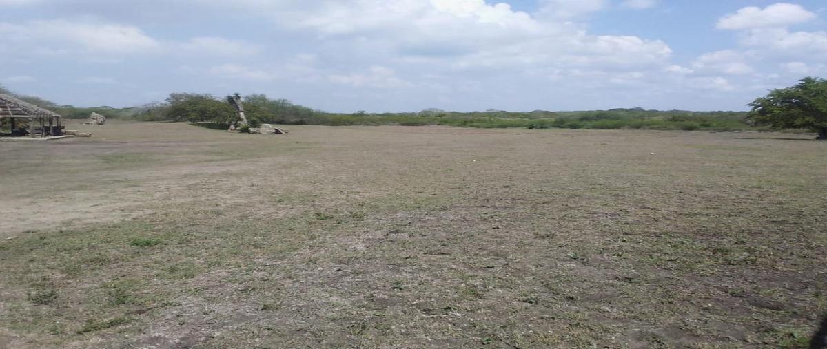 Foto de terreno habitacional en venta en  , paseo real, altamira, tamaulipas, 29824482 No. 05