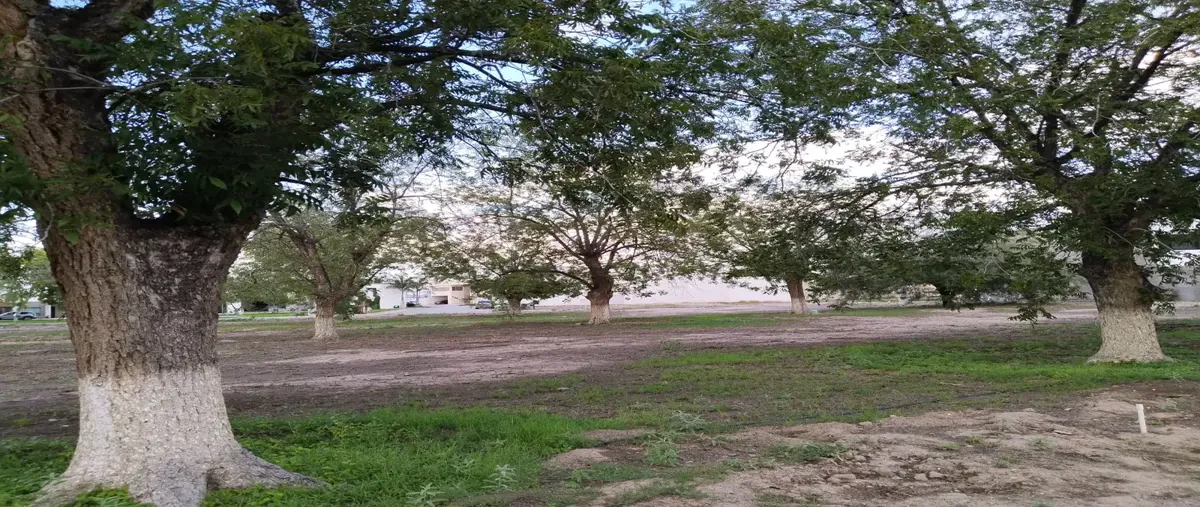 Foto de terreno habitacional en venta en paseo real del nogalar 11, real del nogalar, torreón, coahuila de zaragoza, 0 No. 03