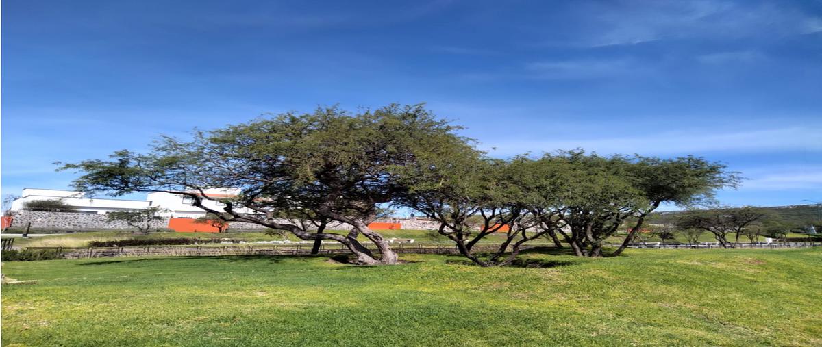 Foto de terreno habitacional en venta en  , paseo san junípero, querétaro, querétaro, 0 No. 04