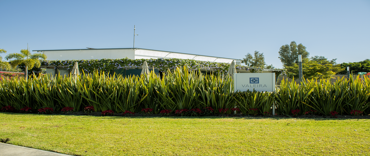 Foto de terreno habitacional en venta en paseo solares , solares, zapopan, jalisco, 0 No. 04