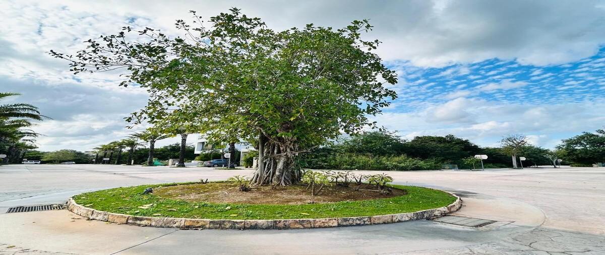 Foto de terreno habitacional en venta en paseos country , yucatán country club, mérida, yucatán, 28904359 No. 04