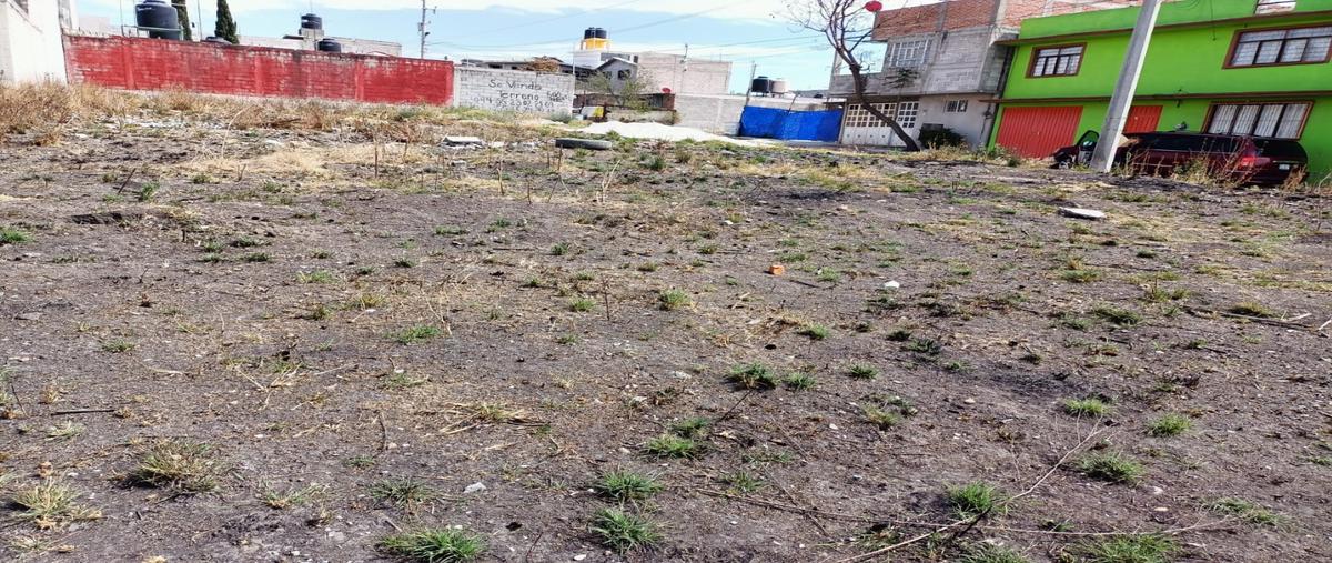 Foto de terreno habitacional en venta en  , paseos de la pradera, atotonilco de tula, hidalgo, 24199412 No. 03