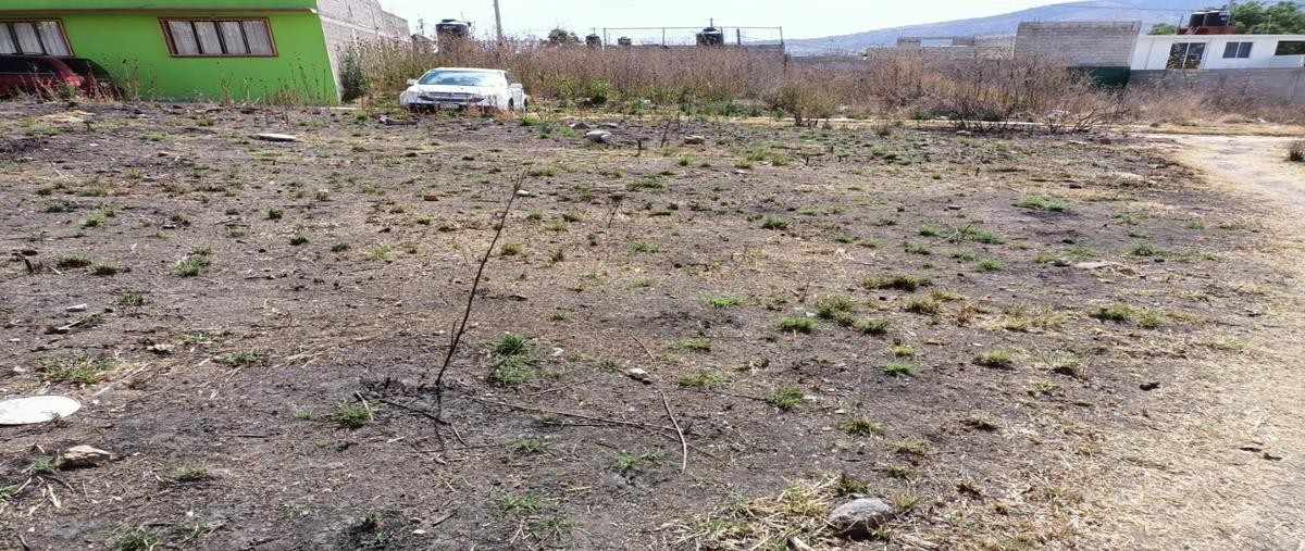 Foto de terreno habitacional en venta en  , paseos de la pradera, atotonilco de tula, hidalgo, 24199412 No. 05