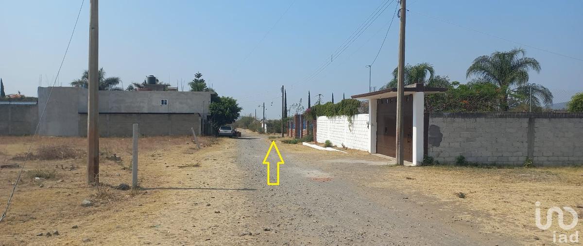 Foto de terreno habitacional en venta en paseos de los pinos , tepeojuma, tepeojuma, puebla, 29888117 No. 04