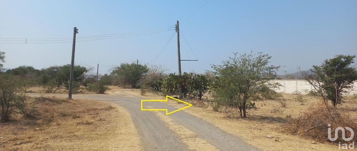 Foto de terreno habitacional en venta en paseos de los pinos , tepeojuma, tepeojuma, puebla, 29888117 No. 05