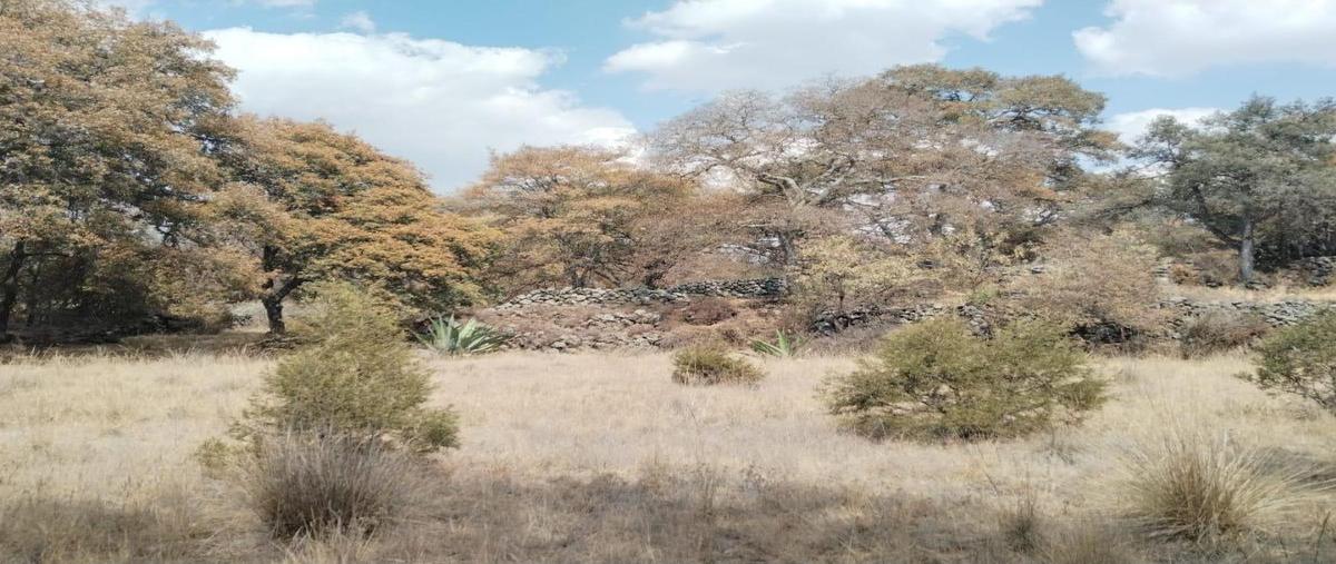 Foto de terreno habitacional en , paseos de tetla, tetla de la solidaridad, tlaxcala, 29528661 foto 02 Foto de terreno habitacional en venta en , paseos de tetla, tetla de la solidaridad, tlaxcala, 29528661 No. 02