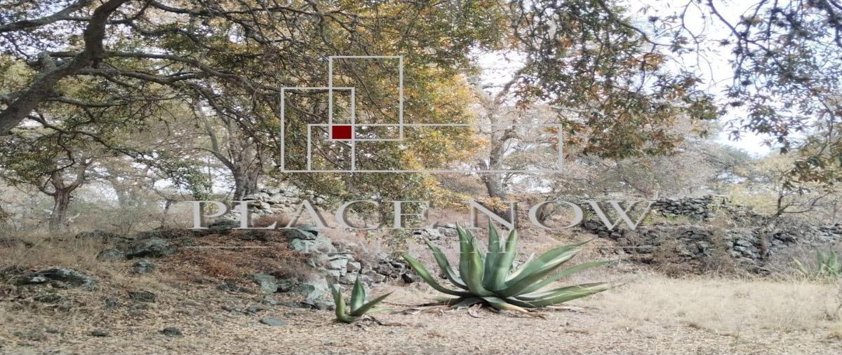 Foto de terreno habitacional en , paseos de tetla, tetla de la solidaridad, tlaxcala, 29528661 foto 03 Foto de terreno habitacional en venta en , paseos de tetla, tetla de la solidaridad, tlaxcala, 29528661 No. 03