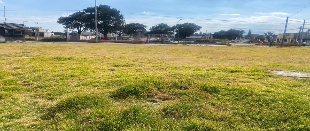 Foto de terreno habitacional en renta en  , paseos de tetla, tetla de la solidaridad, tlaxcala, 0 No. 03