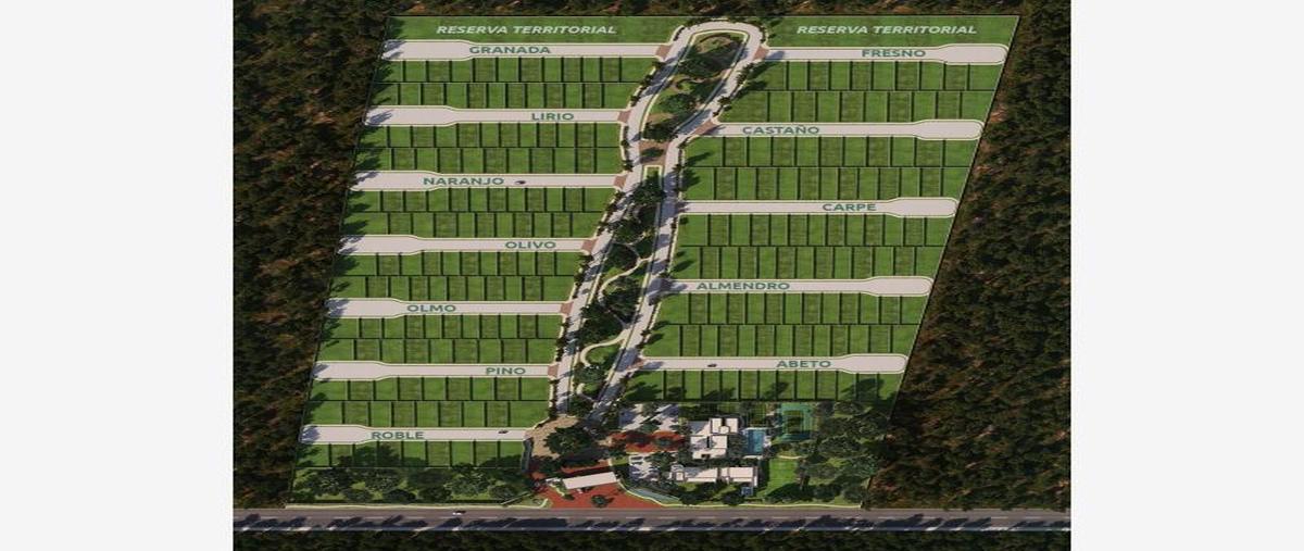 Foto de terreno habitacional en venta en paseos del mayab 1, el tigrillo, solidaridad, quintana roo, 0 No. 01
