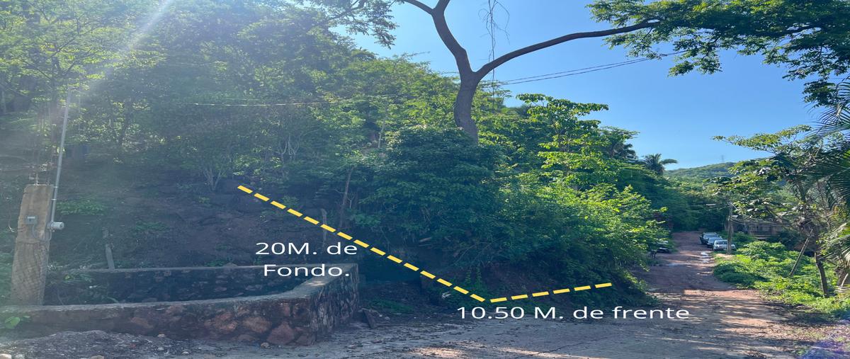 Foto de terreno habitacional en venta en  , paso ancho, puerto vallarta, jalisco, 30086294 No. 03