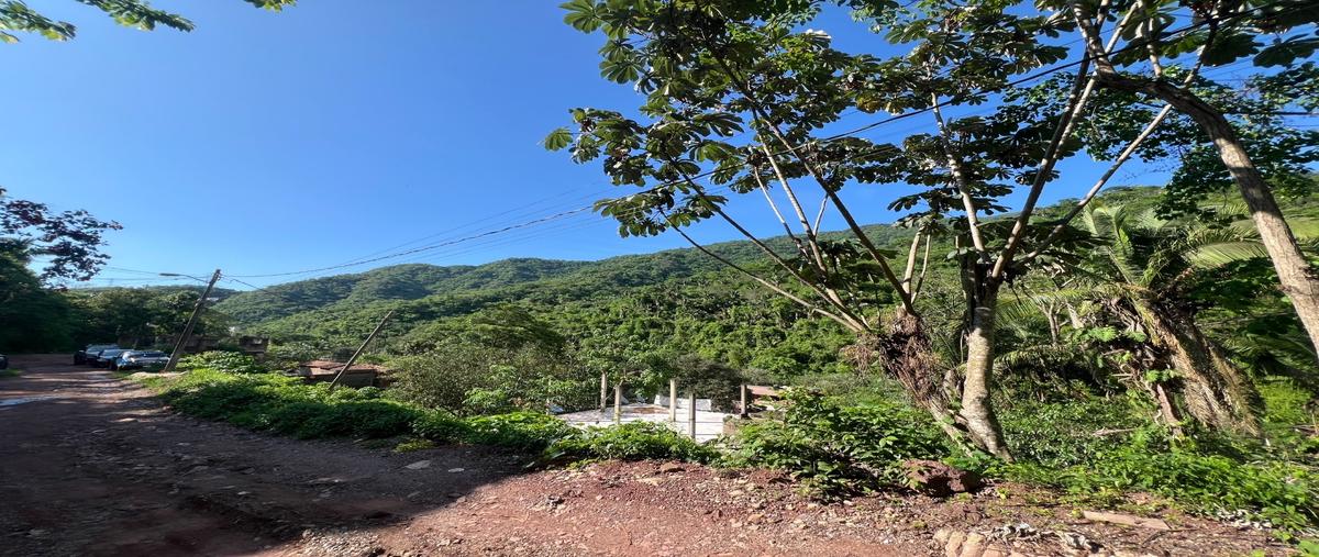Foto de terreno habitacional en venta en  , paso ancho, puerto vallarta, jalisco, 30086294 No. 04