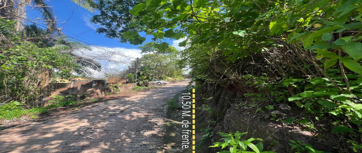 Foto de terreno habitacional en venta en  , paso ancho, puerto vallarta, jalisco, 30086294 No. 05