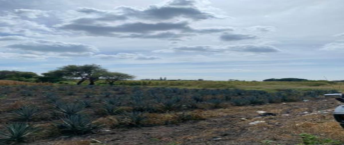 Foto de terreno habitacional en , paso blanco, ocotlán, jalisco, 0 foto 01 Foto de terreno habitacional en venta en , paso blanco, ocotlán, jalisco, 0 No. 01