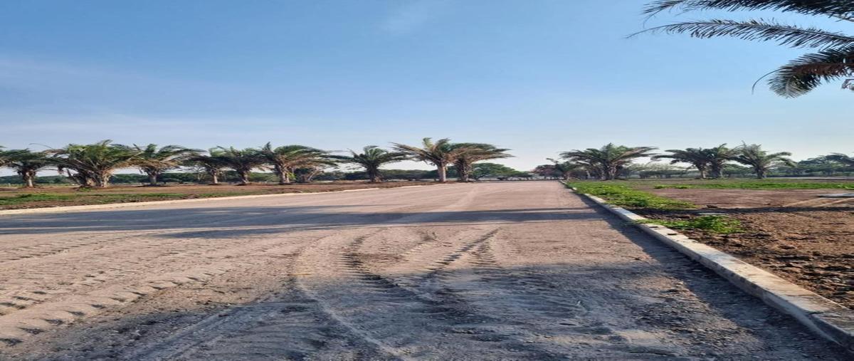 Foto de terreno habitacional en venta en  , paso colorado, boca del río, veracruz de ignacio de la llave, 0 No. 04