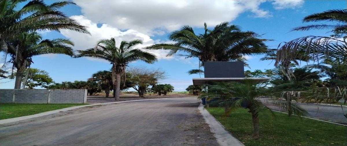 Foto de terreno habitacional en , paso colorado, boca del río, veracruz de ignacio de la llave, 0 foto 02 Foto de terreno habitacional en venta en , paso colorado, boca del río, veracruz de ignacio de la llave, 0 No. 02