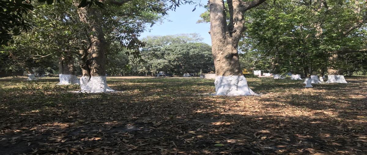 Foto de rancho en paso colorado , paso colorado, boca del río, veracruz de ignacio de la llave, 0 foto 03 Foto de rancho en venta en paso colorado , paso colorado, boca del río, veracruz de ignacio de la llave, 0 No. 03