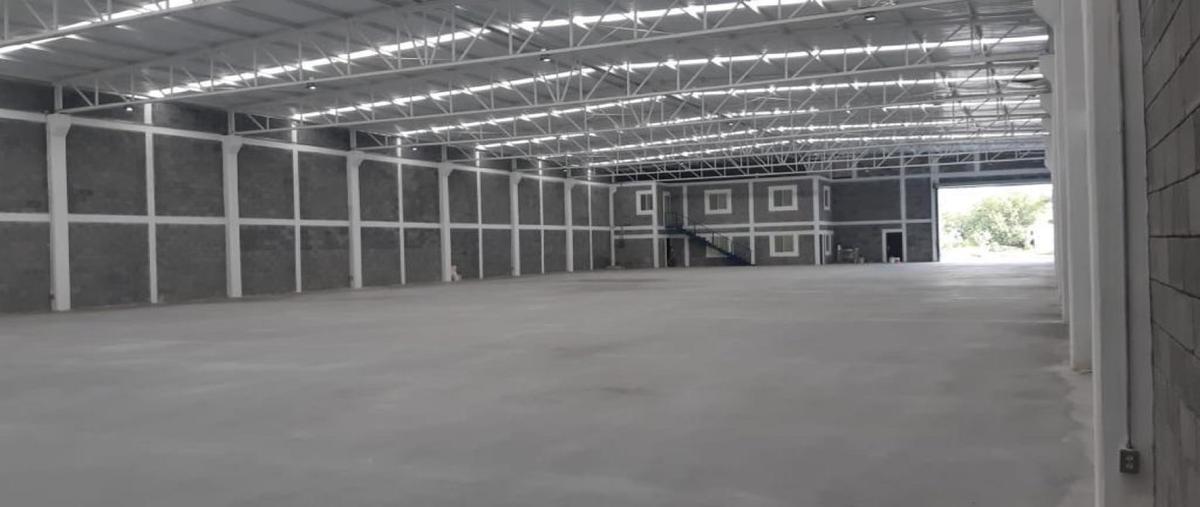 Foto de bodega en renta en  , paso cucharas, general escobedo, nuevo león, 0 No. 03